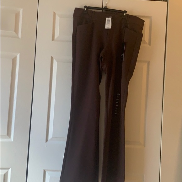 torrid Pants - Brand New Trouser Torrid Pants!